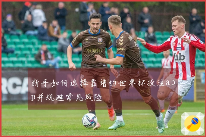 新手如何选择靠谱的世界杯投注app并规避常见风险