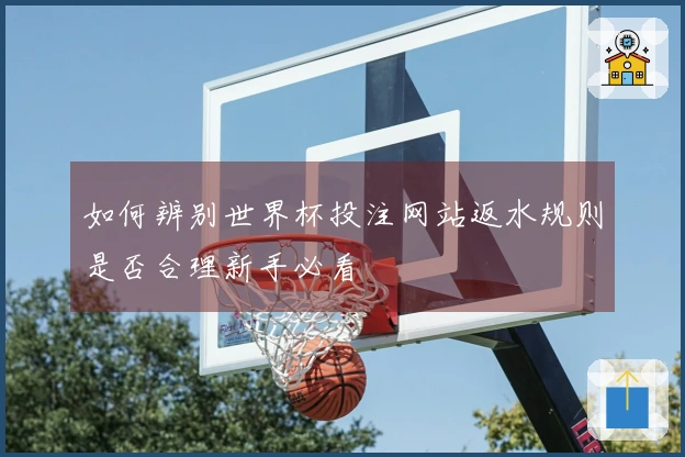如何辨别世界杯投注网站返水规则是否合理新手必看