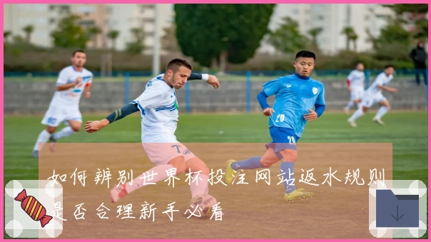 如何辨别世界杯投注网站返水规则是否合理新手必看