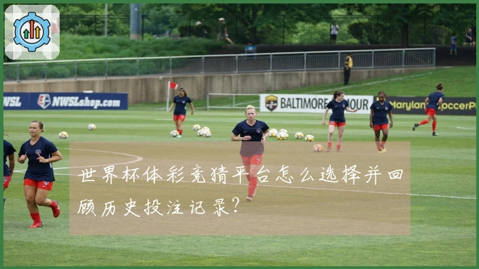 世界杯体彩竞猜平台怎么选择并回顾历史投注记录？