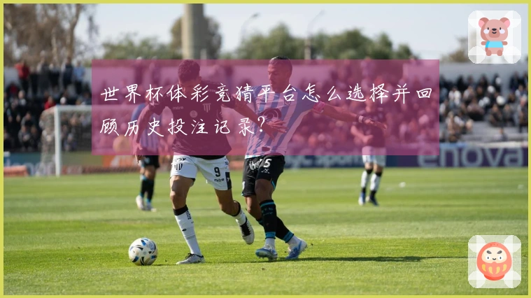 世界杯体彩竞猜平台怎么选择并回顾历史投注记录？
