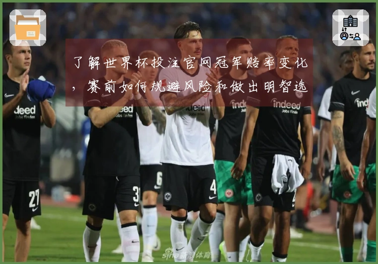 了解世界杯投注官网冠军赔率变化，赛前如何规避风险和做出明智选择
