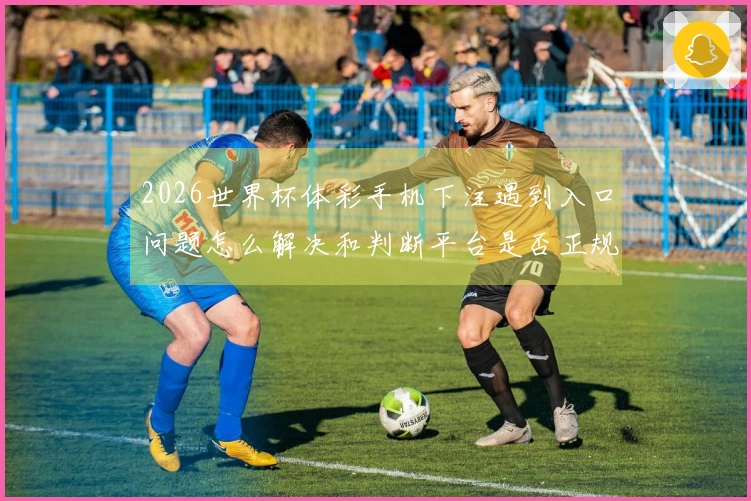 2026世界杯体彩手机下注遇到入口问题怎么解决和判断平台是否正规